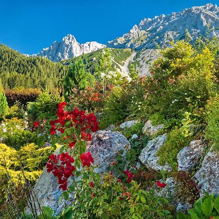 Pension Stoffenbauer Ramsau am Dachstein Luaran gambar