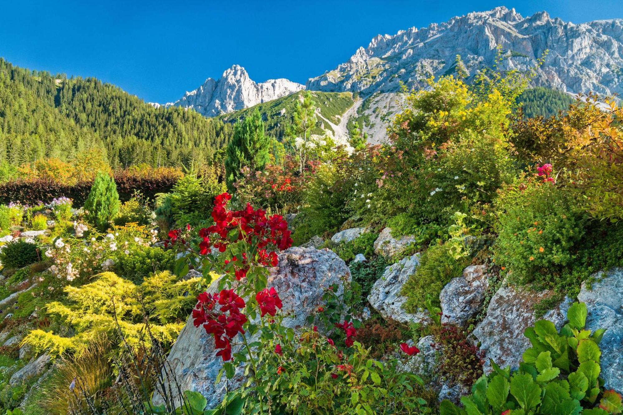 Pension Stoffenbauer Ramsau am Dachstein Luaran gambar