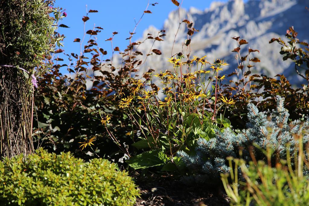 Pension Stoffenbauer Ramsau am Dachstein Luaran gambar